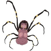 蜘蛛女