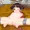 放課後えすえむクラブ