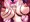 スイートプリキュアＣＧ集製作中