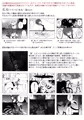ソウハの事情