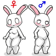 うさぎ