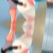 常識改変させた慧音せんせーをショタが教卓の死角から立ちバックする動画