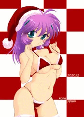 クリスマスですサンタです