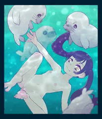 アザラシ