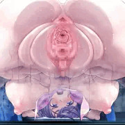 ラッキーオマ○コ