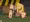 Thornberrys for sale