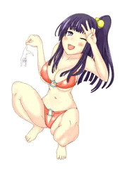 初投稿