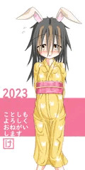 あけましておめでとうございます！