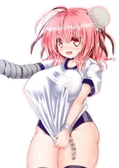 ブルマ華扇