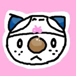 もこきち