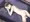 中にいっぱいだされた