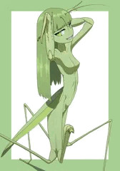 オオカマキリ♀