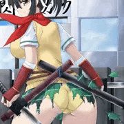 飛鳥（飛鳥の忍装束破壊小）
