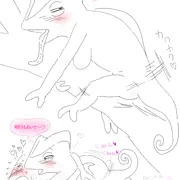 エロカメレオン