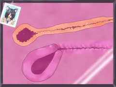 二穴断面アニメ