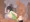 ２穴責め輪姦されて精液まみれになるセイカさん