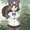 なんだ？そいつら…反対側に逃げたのは潰したぞ