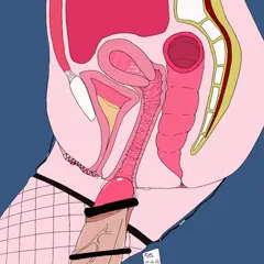 抜けなくなった断面