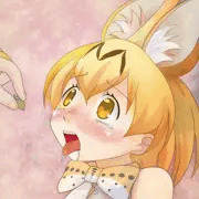 わーい、マタタビをくれるフレンズだ！