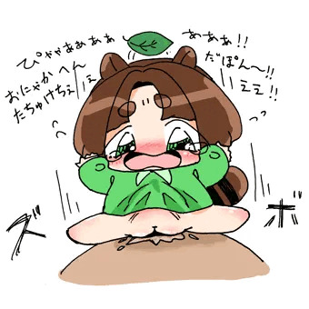 かわいいたぬき
