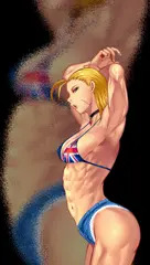 【Animation Test】 Cammy