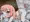 だんめん