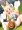 おっぱい ロイコクロリディウム化