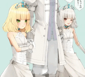 姉妹ハーレム婚