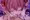 宝鐘マリンちゃん_添い寝看病 -中出し編-