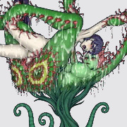 モウセンゴケアルラウネ