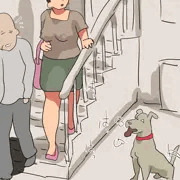 オス犬が