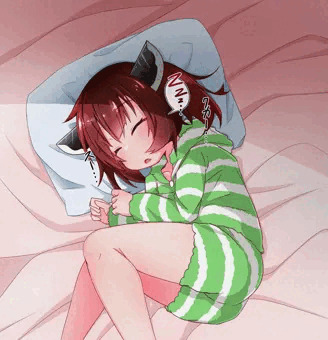 すやりたん