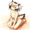 すっぽんぽんはかせ