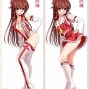 秋例大祭＋紅楼夢　霊夢の等身大布製ポスター