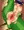 楽姫