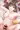 イズナちゃん(支援サイトにて期間限定で全差分無料公開中)