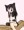うちのこらくがき