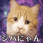 柚銀