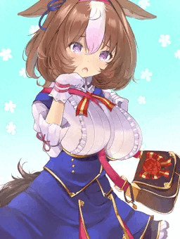 メイショウドトウ