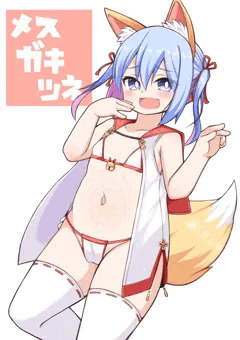 メスガキツネ