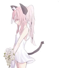 お久しぶりです