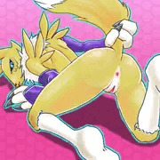 Digimon_Renamon