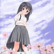 秋桜