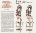 真理木馬宗 - 年末特設代禱贖罪祈福法會