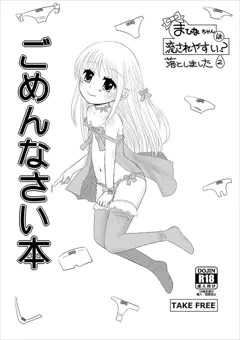 先日の