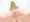 上から全部見せてくれる妖精さん