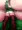 コルト