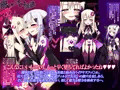 魔法少女の陵辱遊戯
