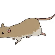 ねずみさん