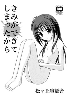 コミティア105サンプル